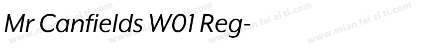 Mr Canfields W01 Reg字体转换